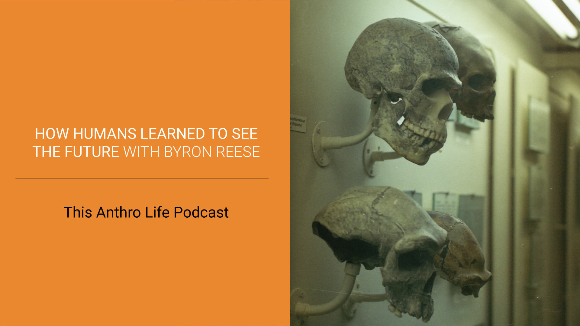 Byron Reese Interview, the Futurati Podcast Episode 98